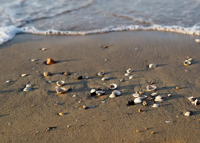 Апартаменти Cozy Flat With 3 Shared Pools And Private Garden