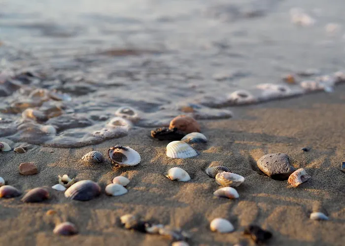 Cozy Flat With 3 Shared Pools And Private Garden Apartment *