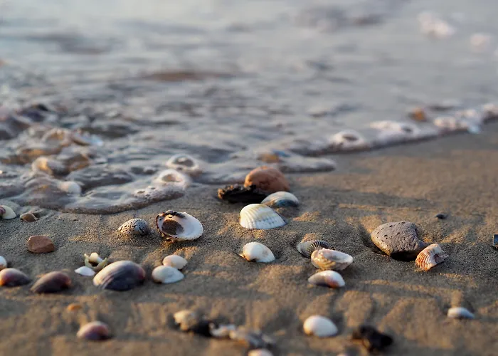 Cozy Flat With 3 Shared Pools And Private Garden * Bibione